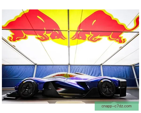 RB大宫携红牛总部品牌时装秀